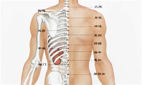 背上長痣|背部有痣图解大全 背部有痣的人看命运